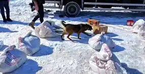 Hakkari'de Dev Metamfetamin Operasyonu: 102 Kg Ele Geçti!