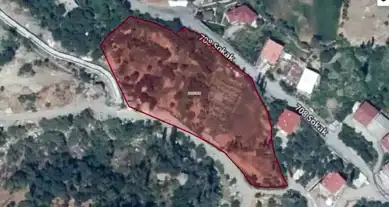 Geniş Arazinin Hayırsever Hibe Edilmesi