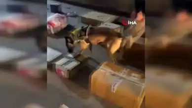 Hakkari'de 13 Kilo Metamfetamin Baskını!