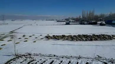 Hakkari Besicileri Kışın Zorlu Sınamasında