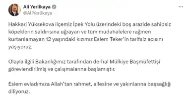 Hakkari'de 12 Yaşındaki Kız, Köpek Saldırısında Hayatını Kaybetti