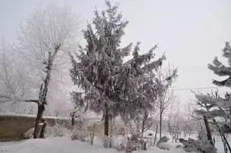 Muş ve Hakkari'de Yollar Açılıyor, Ulaşım Sıkıntısı Devam Ediyor