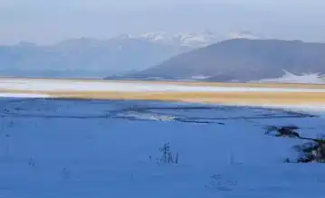 Nehil Sazlığı'nda Kışın Kuşlar Konuk