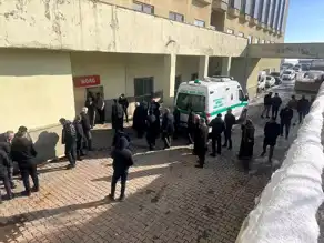 Sahipsiz Köpek Saldırısı: 12 Yaşındaki Kız Hayatını Kaybetti