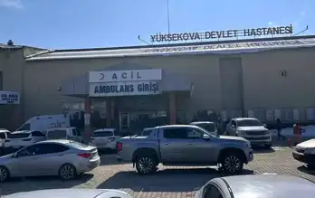 Sahipsiz Köpek Saldırısı: 12 Yaşındaki Kız Hayatını Kaybetti