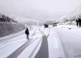 Doğu Anadolu'da Kar Kazası: 4 Yaralı