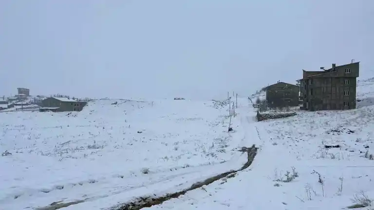 Hakkari'de Yollar Kapandı: 82 Yerleşim Yeri Kar Altında