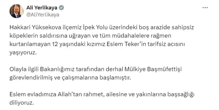 Hakkari'de 12 Yaşındaki Kız, Köpek Saldırısında Hayatını Kaybetti