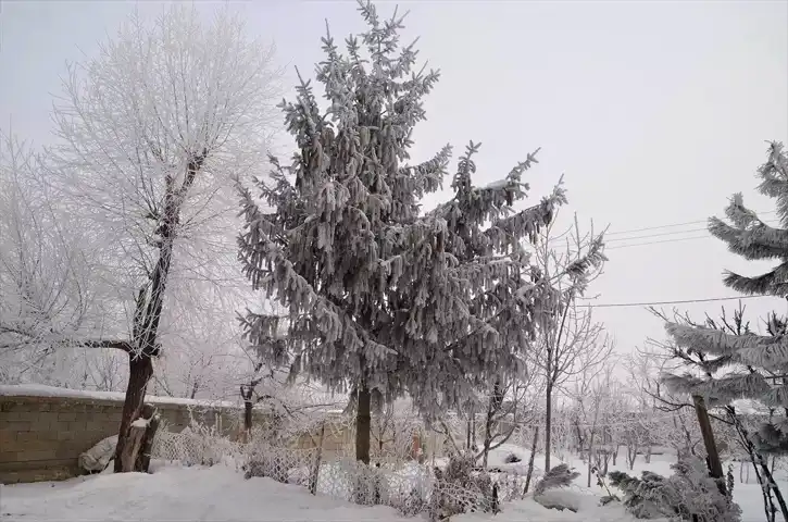 Muş ve Hakkari'de Yollar Açılıyor, Ulaşım Sıkıntısı Devam Ediyor
